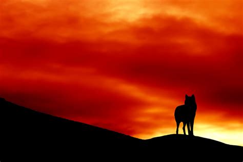 Unleash Your Inner Detective: Play Mafia Werewolf Game Online Today