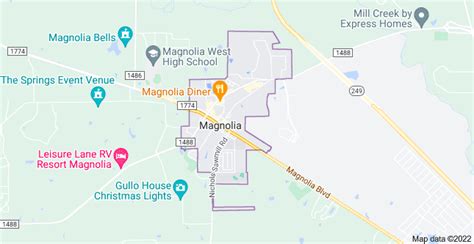 Discovering the Soul of Magnolia: A Journey Through Its Hidden Charms