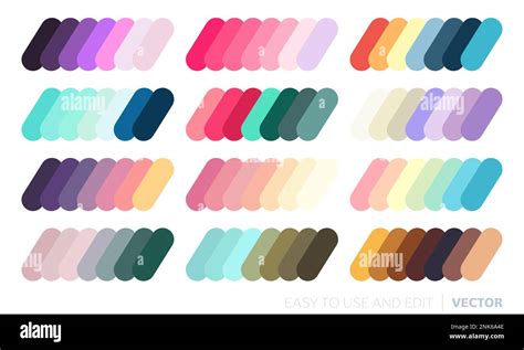 Unleash Your Creativity: The Joy of Match and Color Adventures