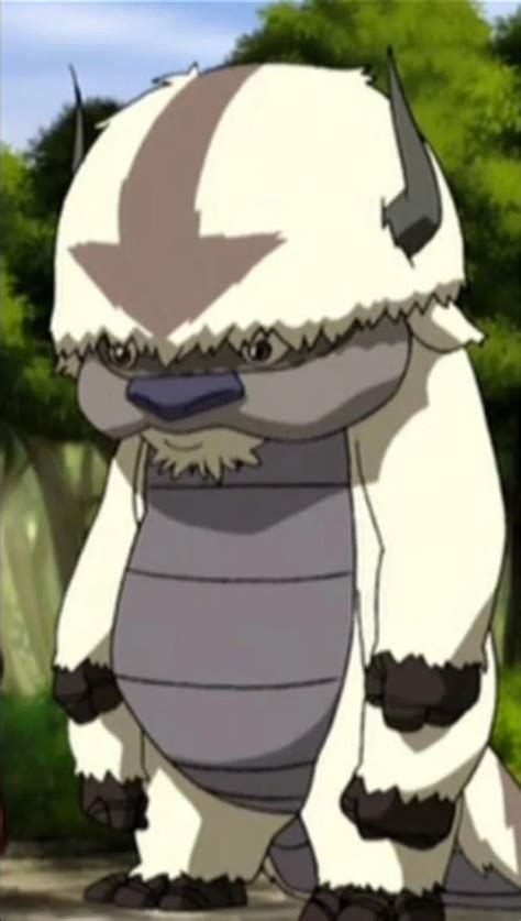 A Bond Beyond Words: Exploring Momo and Appa's Magic