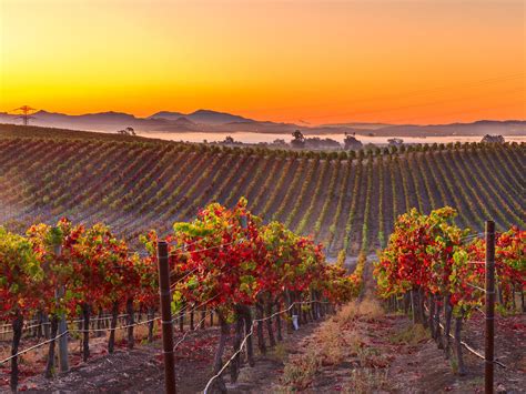 Discover Napa Valley: Wine Country's Enchanting Escape