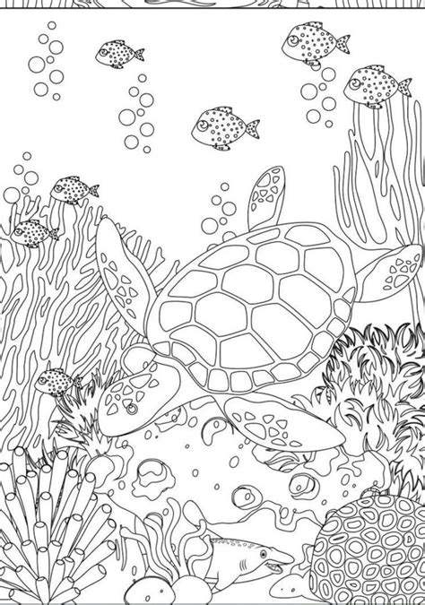Captivating Ocean Colouring Pages for Kids and Adults