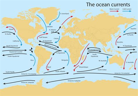 Unveiling the Earth's Liquid Heart: An Oceanic Current Map