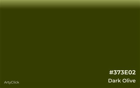 Embrace the Depth: Designing with Dark Olive Color