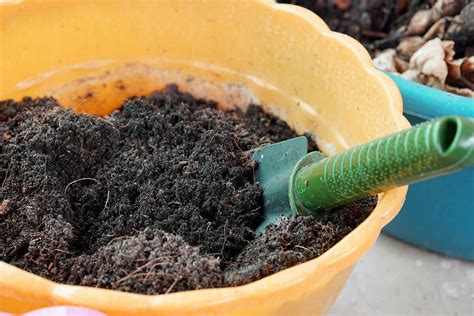 Craft Your Own Potting Mix for Thriving Plants & Gardens