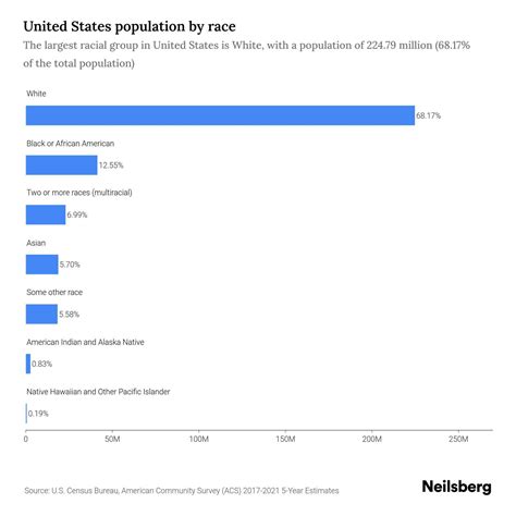 Understanding the Vibrant Racial Demographics of the USA