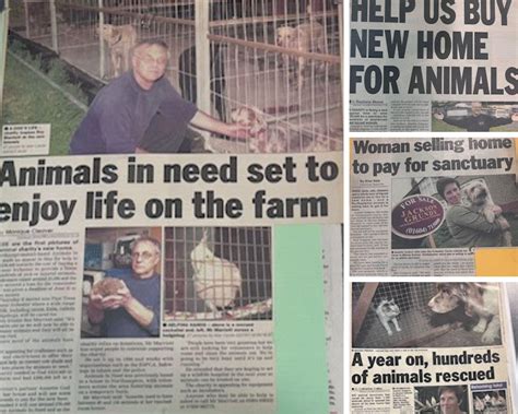Compassionate Animal Rescue: Saving Lives and Spreading Hope