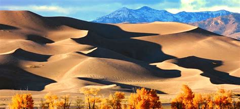 Majestic Sand Dunes of the USA: Explore Nature's Shifting Masterpieces