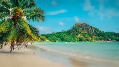 Discovering the Allure of Seychelles: Your Next Hot Destination
