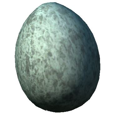 Skyrim Chicken Egg: Unlocking Its Full Potential in Tamriel